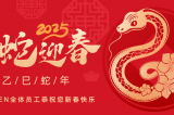 辭舊迎新，蛇舞華章丨深圳容金科技全體員工祝您新春快樂！