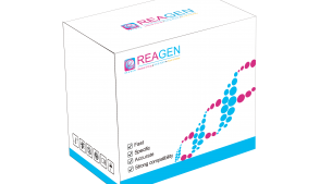 對(duì)蝦傳染性肌肉壞死病毒(IMNV)RNA恒溫核酸檢測(cè)試劑盒（不含提?。? height='100'>
			</a>
		</figure>
		<h4 class=